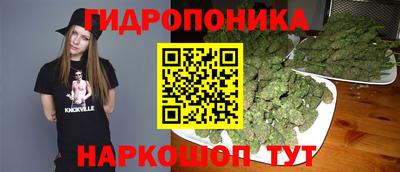 наркотики Будённовск